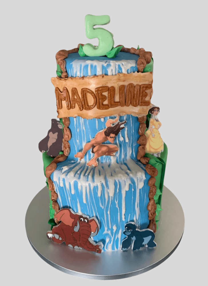 Dazzling Tarzan Cake