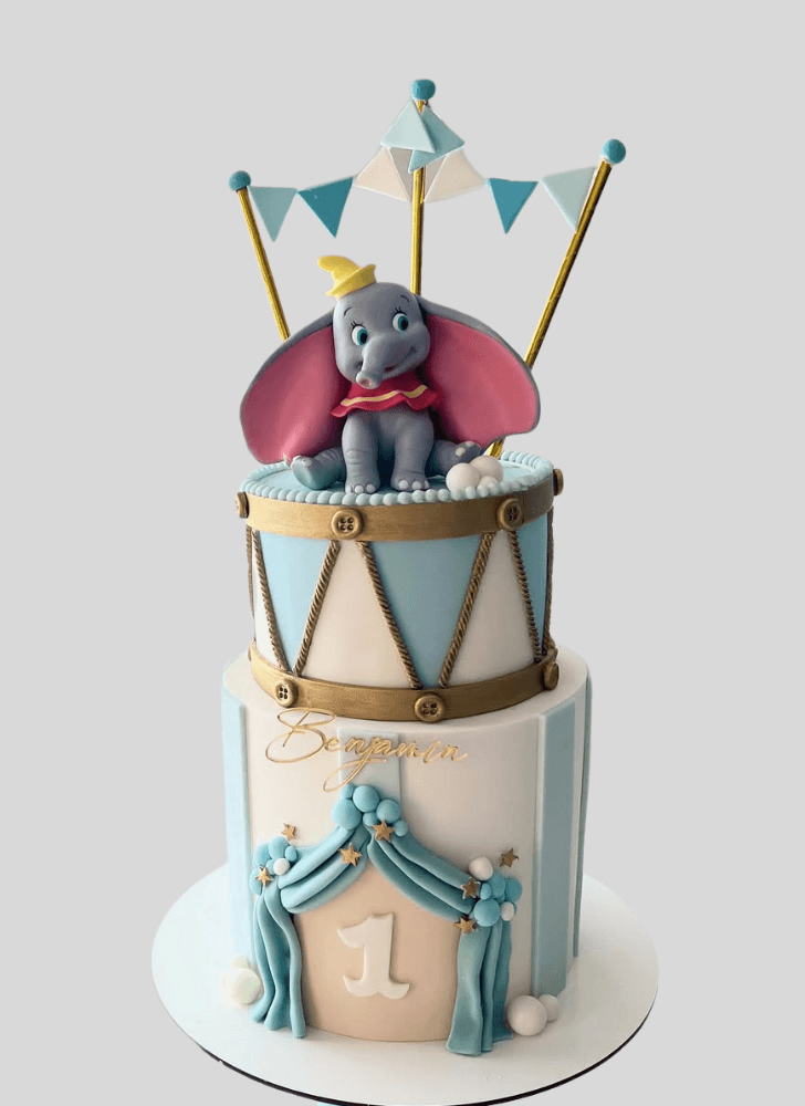 Slightly Dumbo Cake