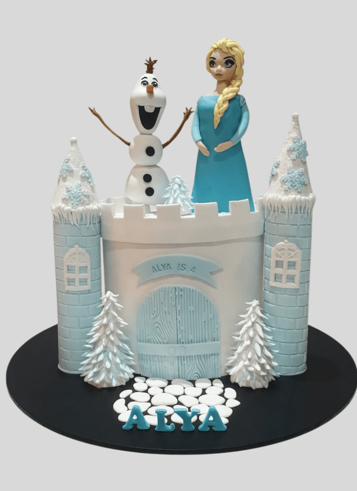 Magnetic Disneys Elsa Cake
