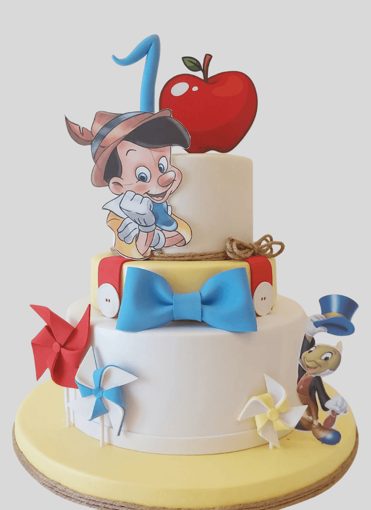Magnetic  Pinocchio Cake