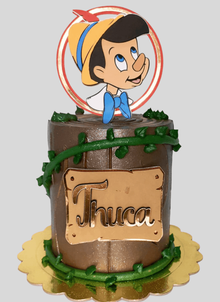 Stunning  Pinocchio Cake