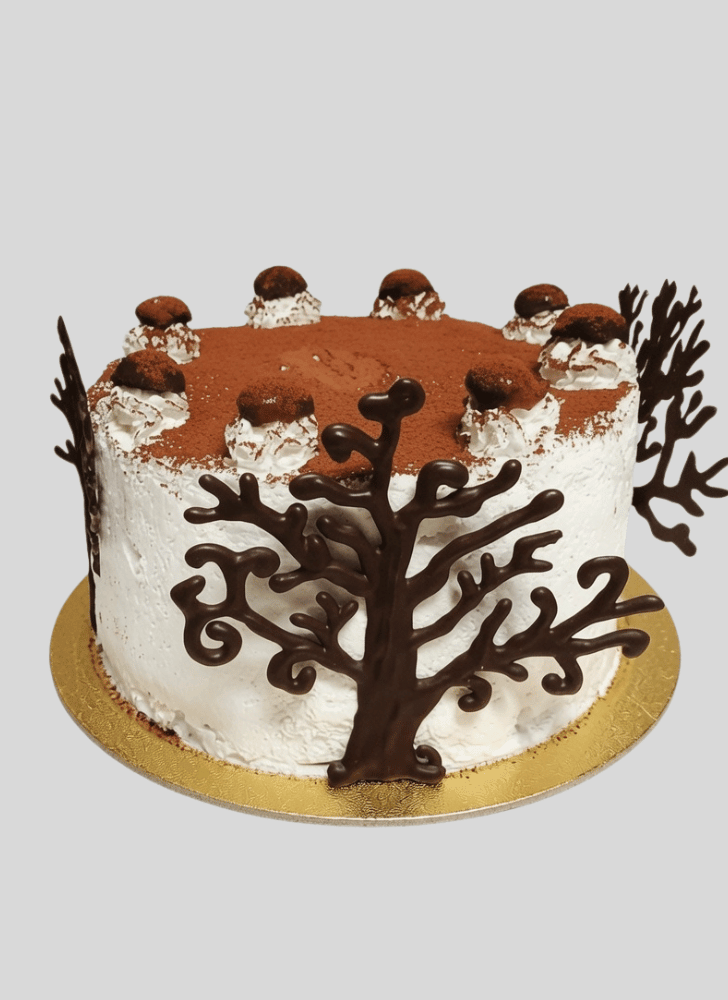 Delicate Black Forest Cake