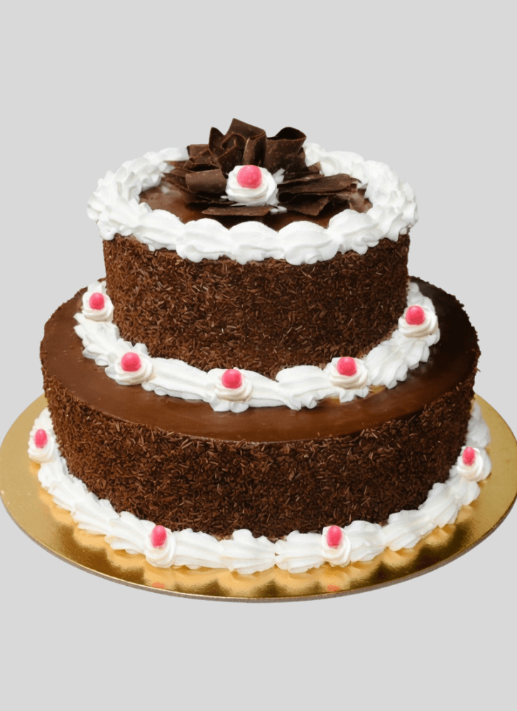 Radiant Chocolate Cake