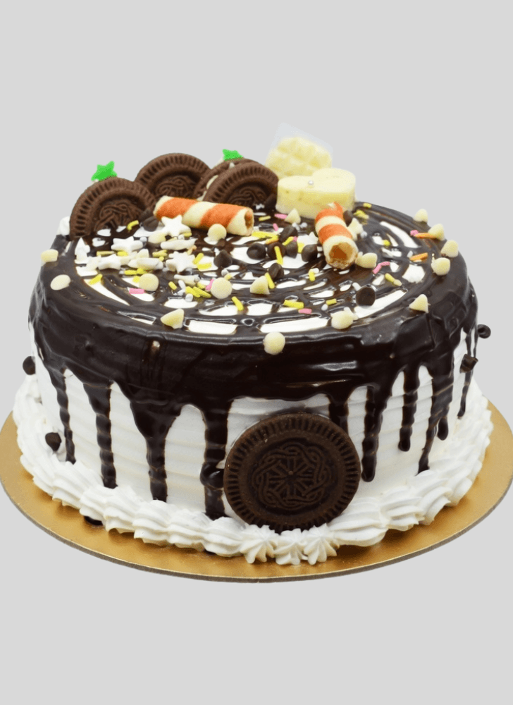 Ravishing Chocolate Cake