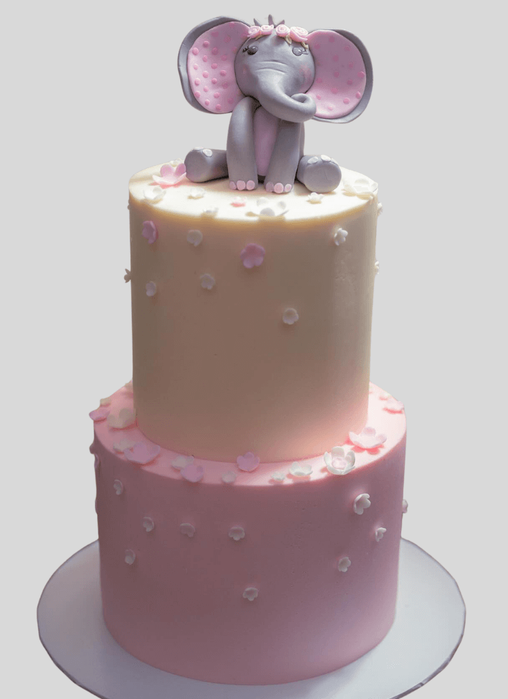 Fascinating Elephant Cake