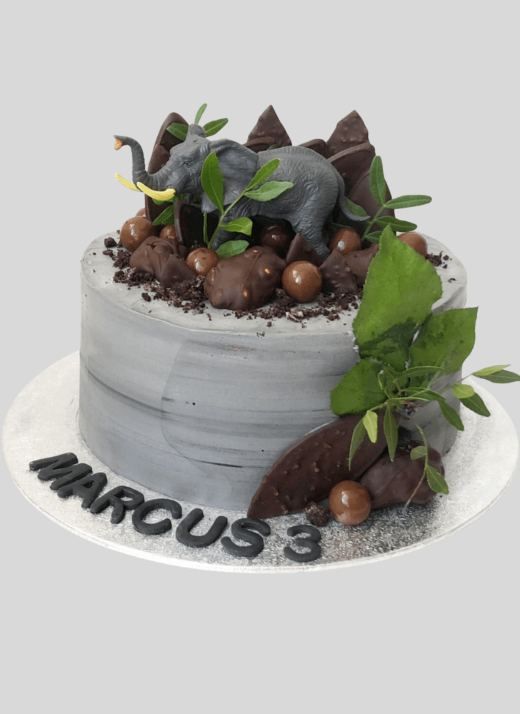 Fine Elephant Cake