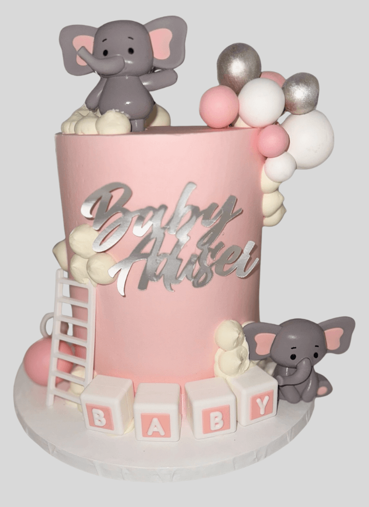 Handsome Elephant Cake