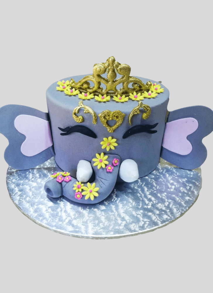 Magnetic Elephant Cake