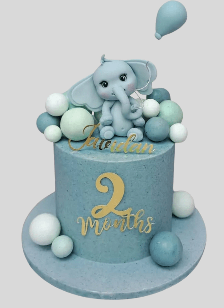 Pretty Elephant Cake
