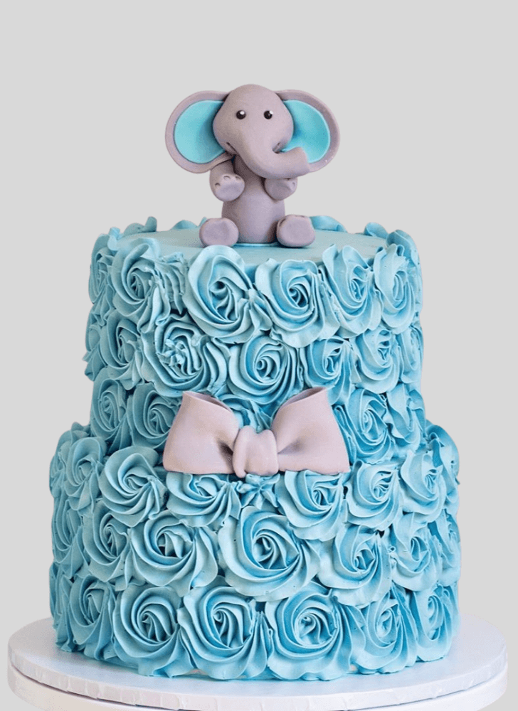 Radiant Elephant Cake