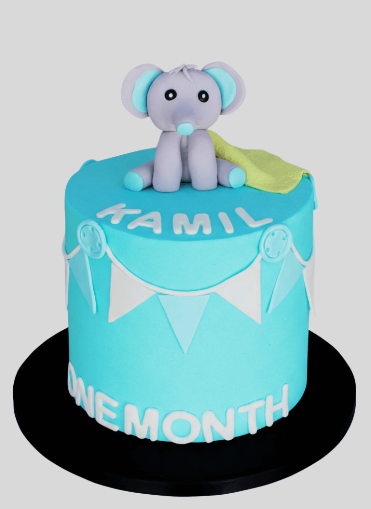 Refined Elephant Cake