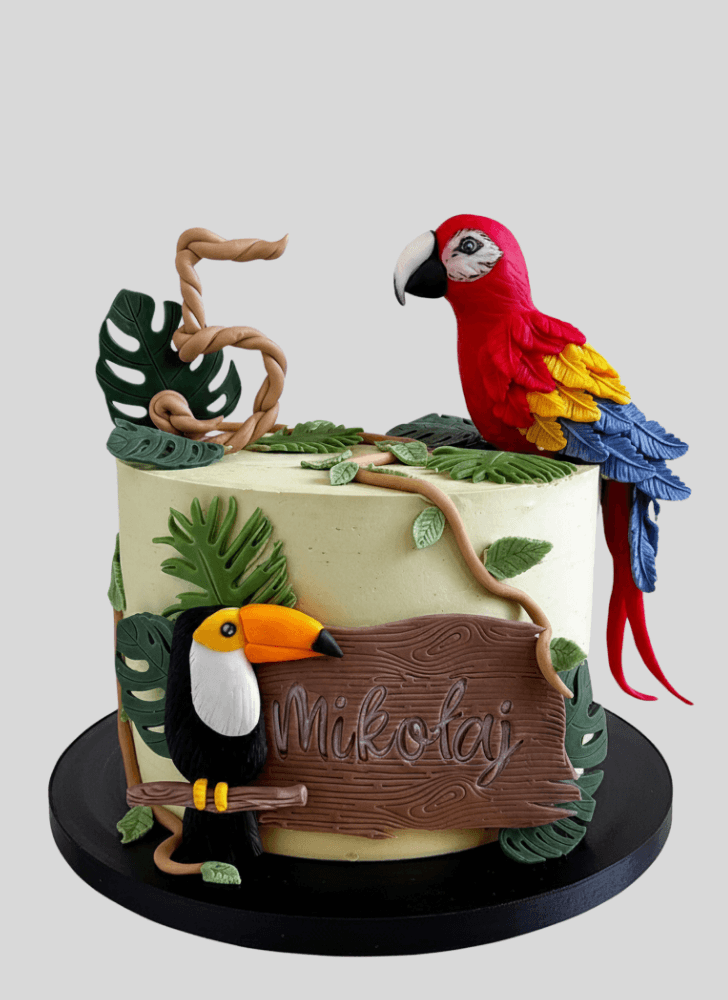 Adorable Parrot Cake