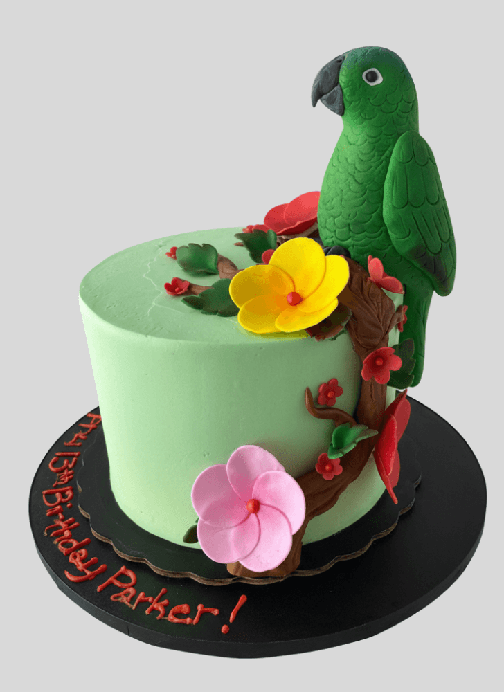 Angelic Parrot Cake