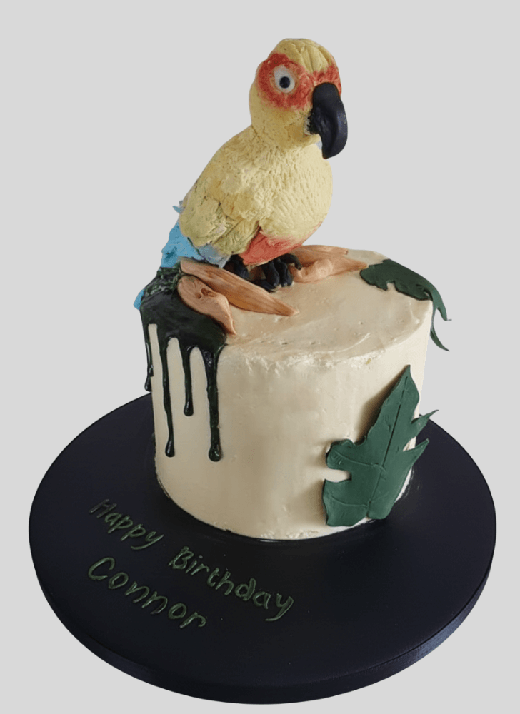 Beauteous Parrot Cake