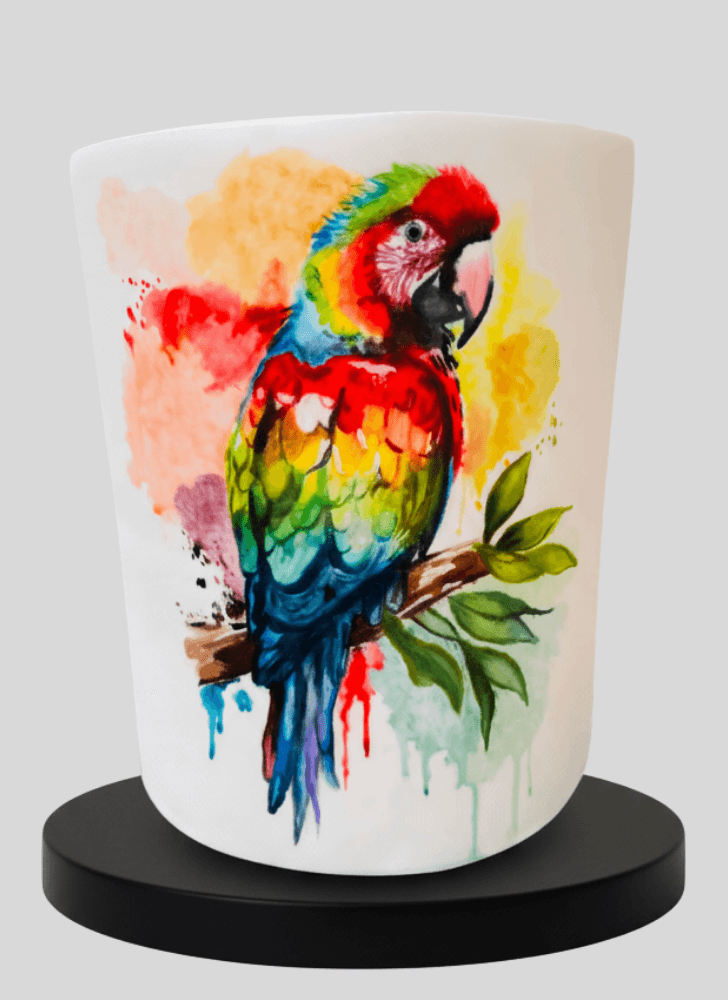Comely Parrot Cake