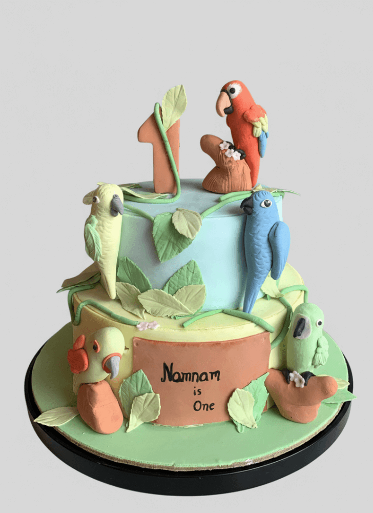 Dazzling Parrot Cake