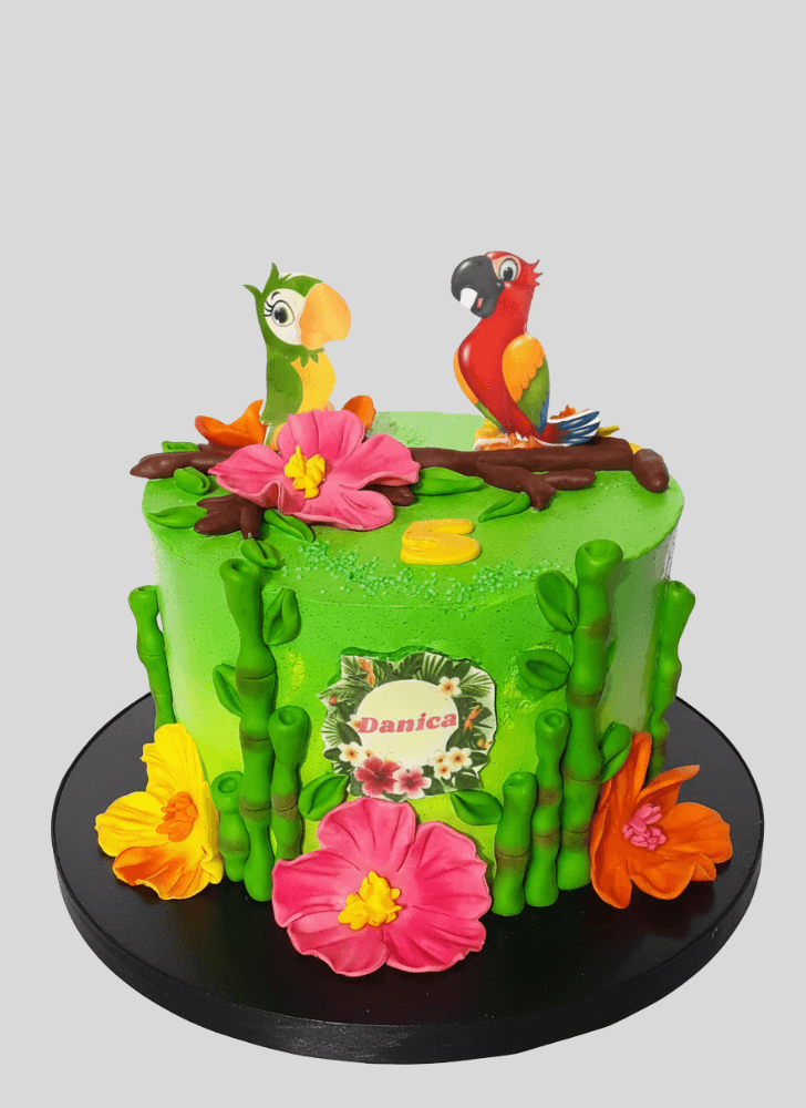 Delicate Parrot Cake