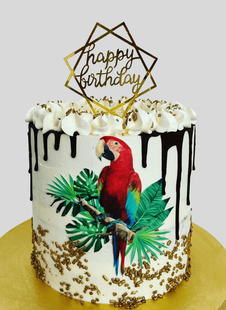 Enticing Parrot Cake