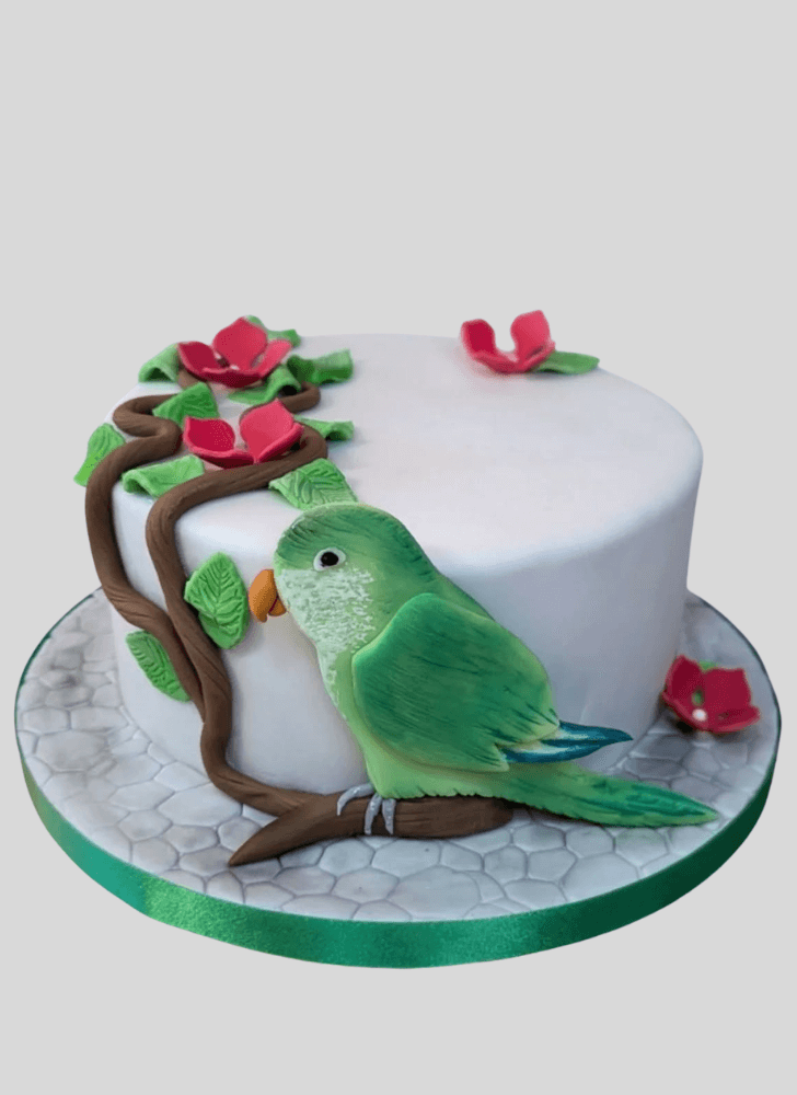 Excellent Parrot Cake