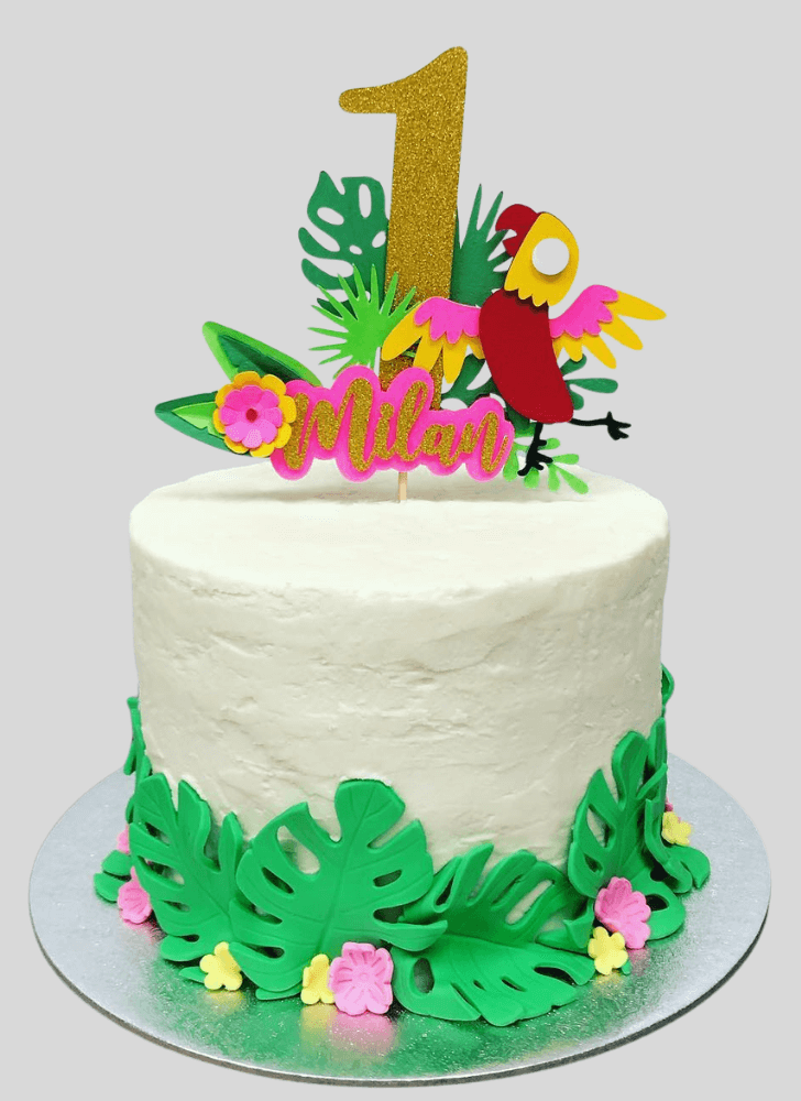 Fair Parrot Cake