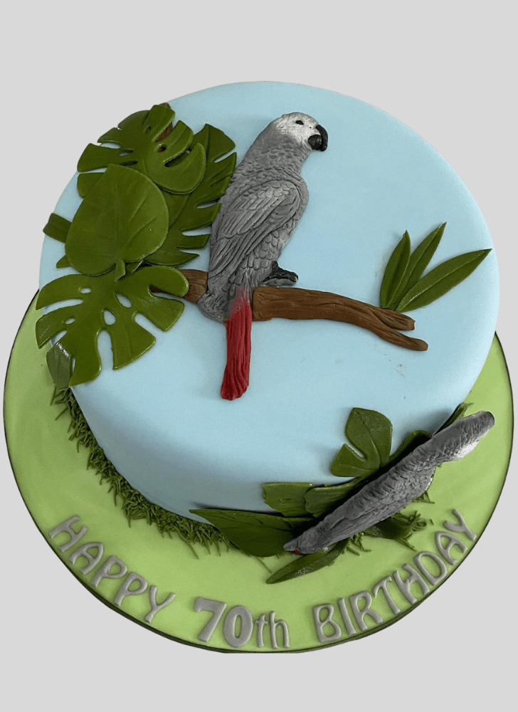 Fetching Parrot Cake