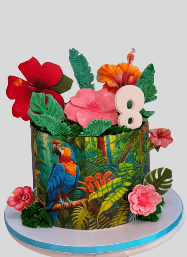 Handsome Parrot Cake