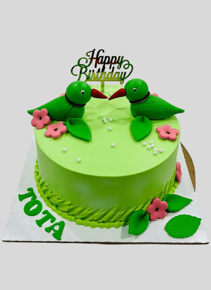 Ideal Parrot Cake