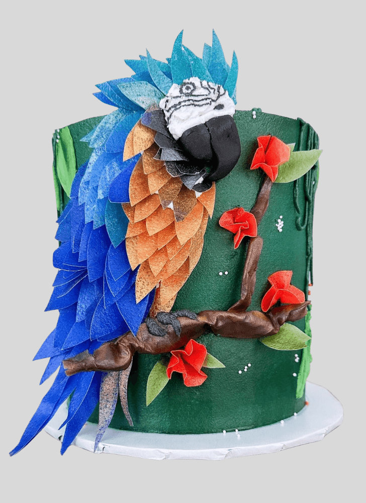 Lovely Parrot Cake Design