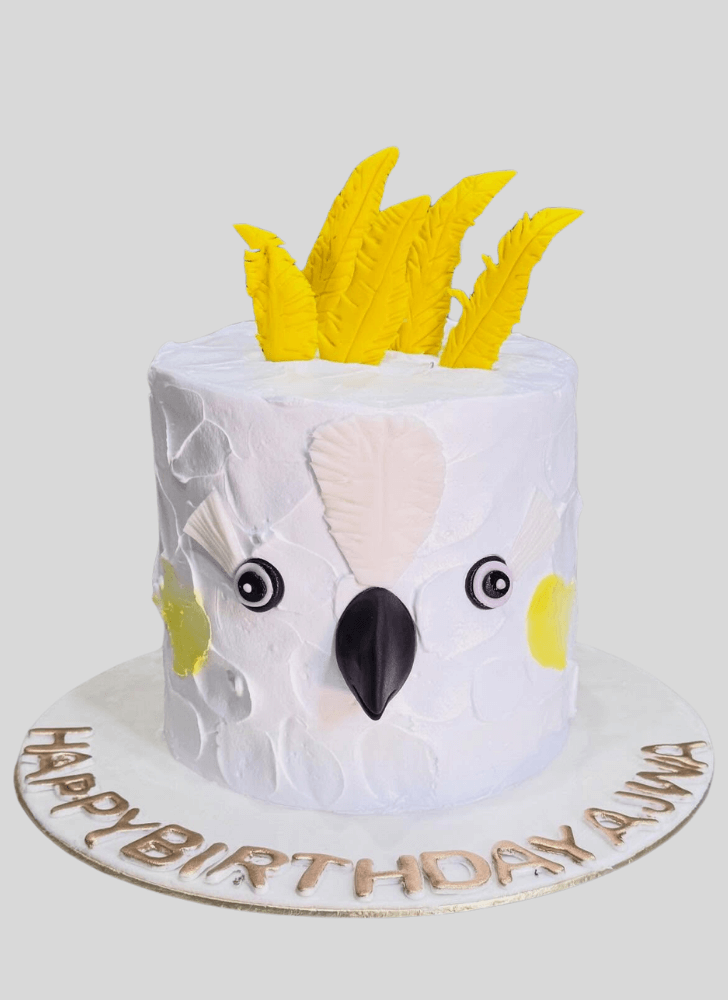 Magnetic Parrot Cake