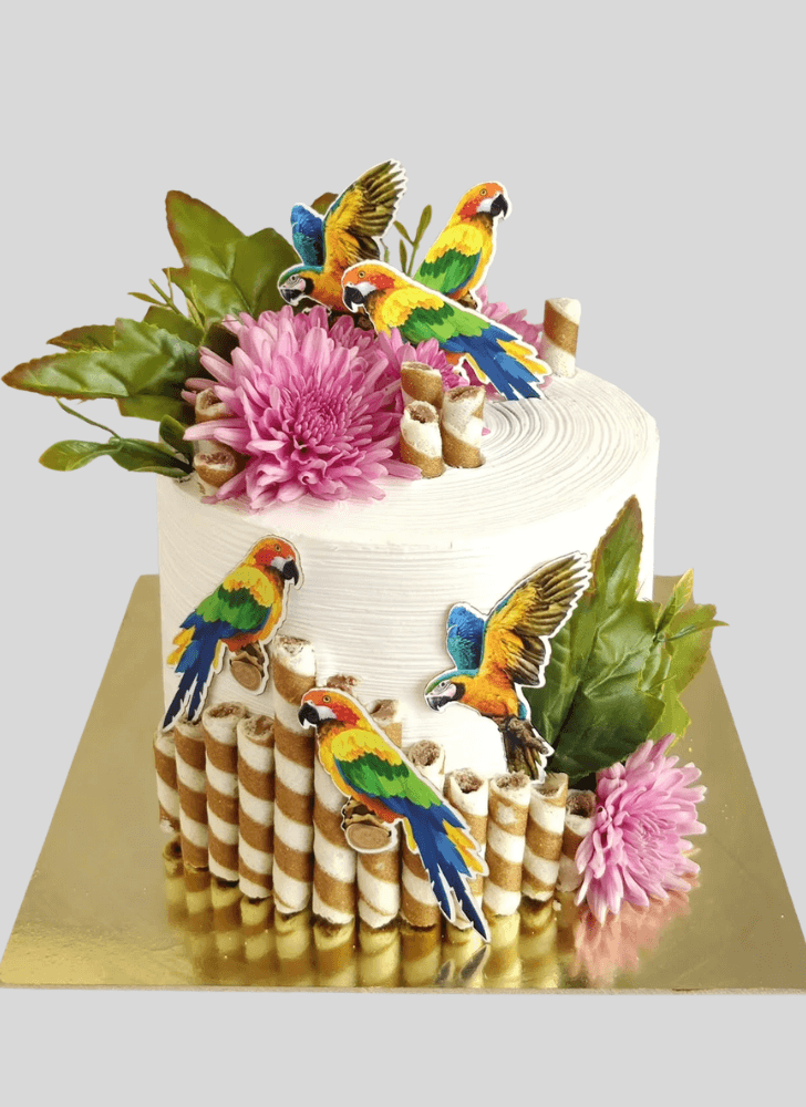 Refined Parrot Cake