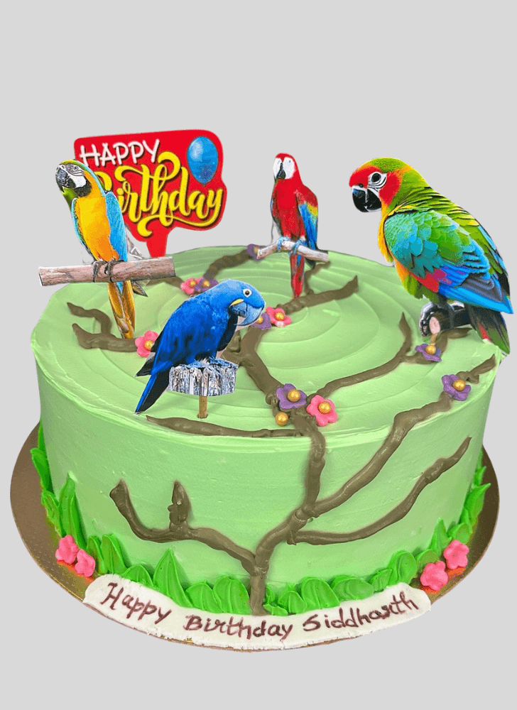Resplendent Parrot Cake