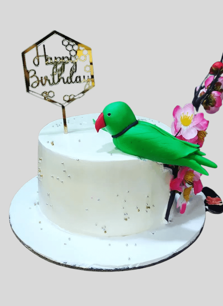 Slightly Parrot Cake