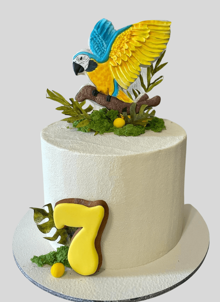 Splendid Parrot Cake