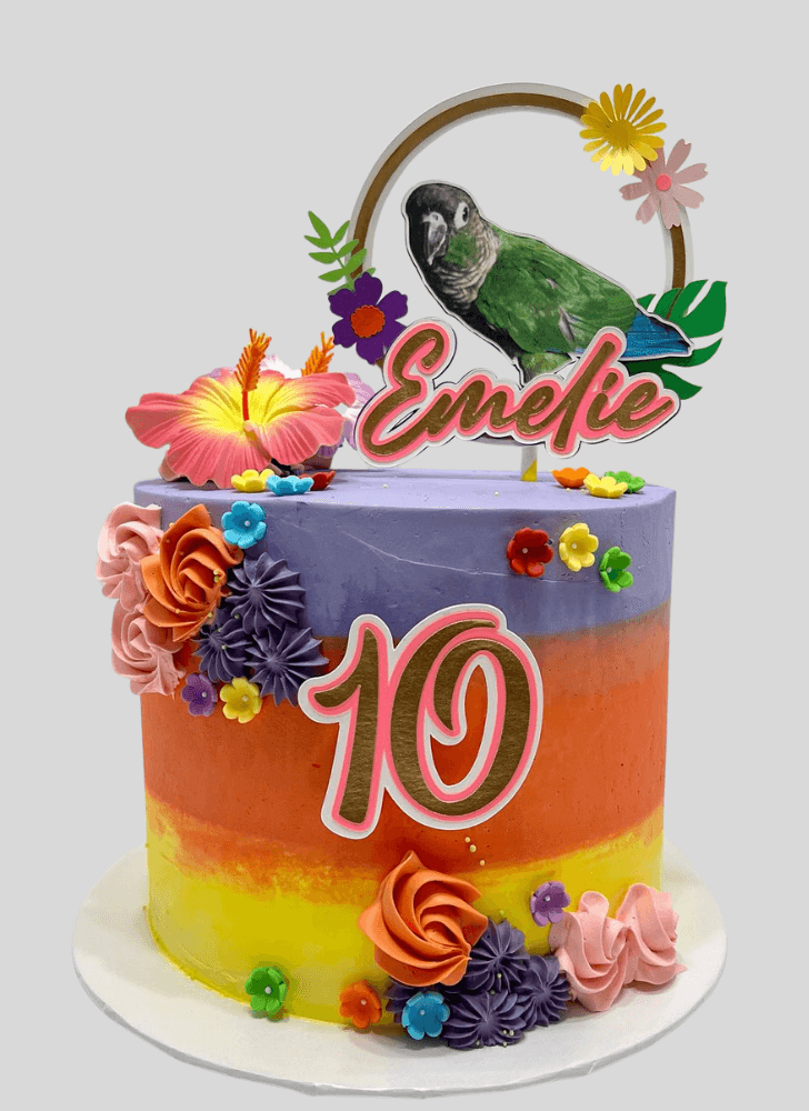 Wonderful Parrot Cake Design