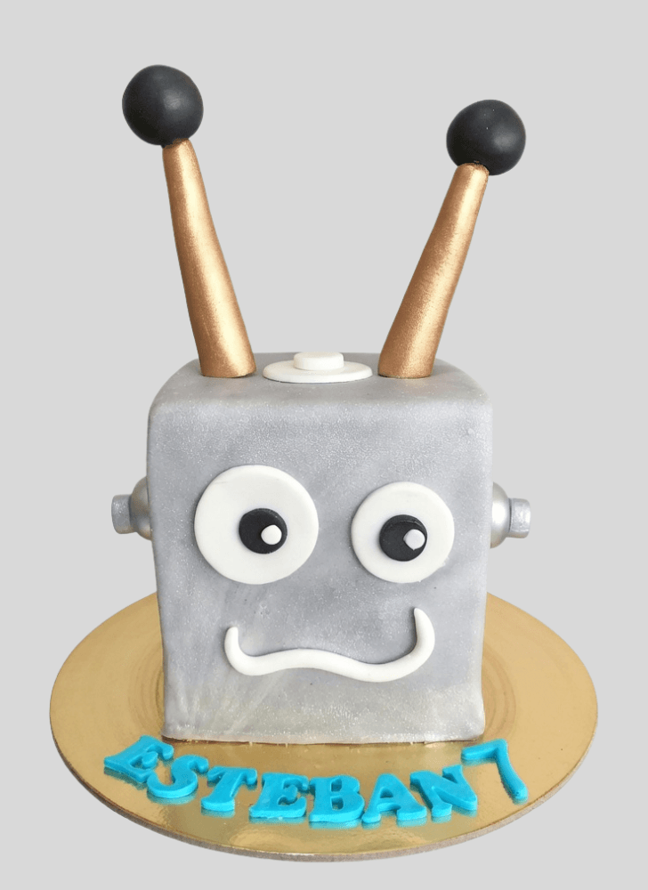 Ravishing Robots Cake