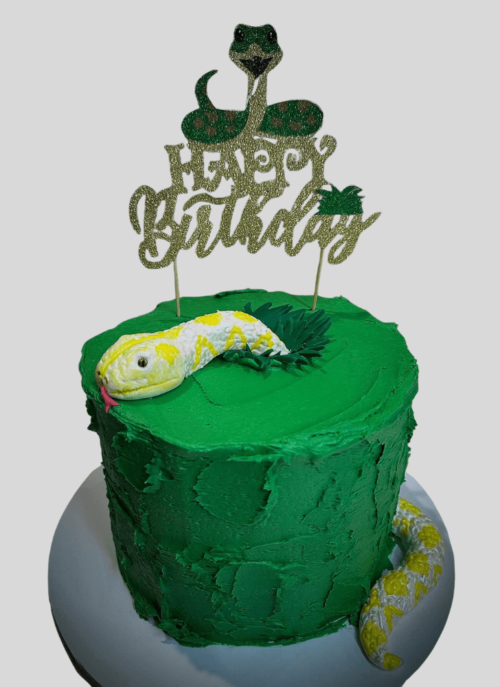 Appealing Snake Cake