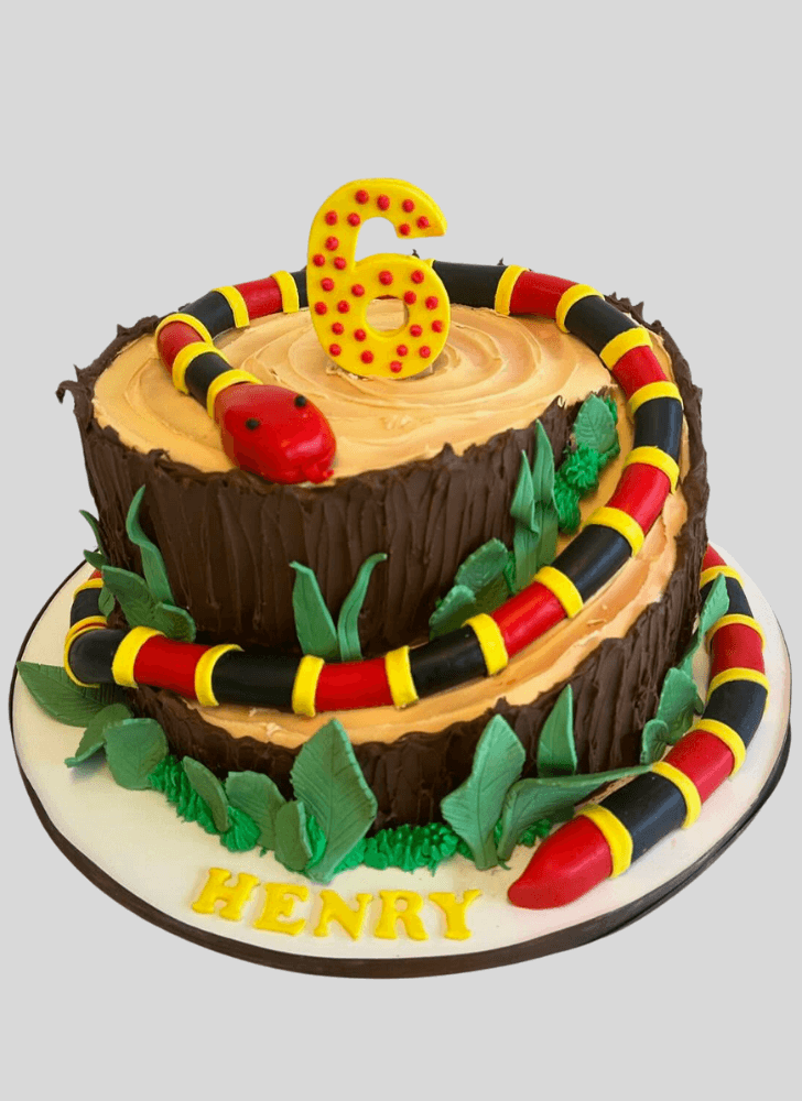 Beauteous Snake Cake