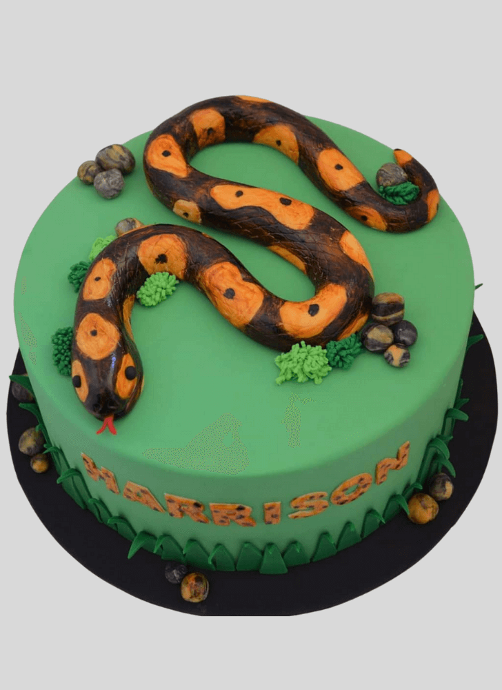 Bewitching Snake Cake