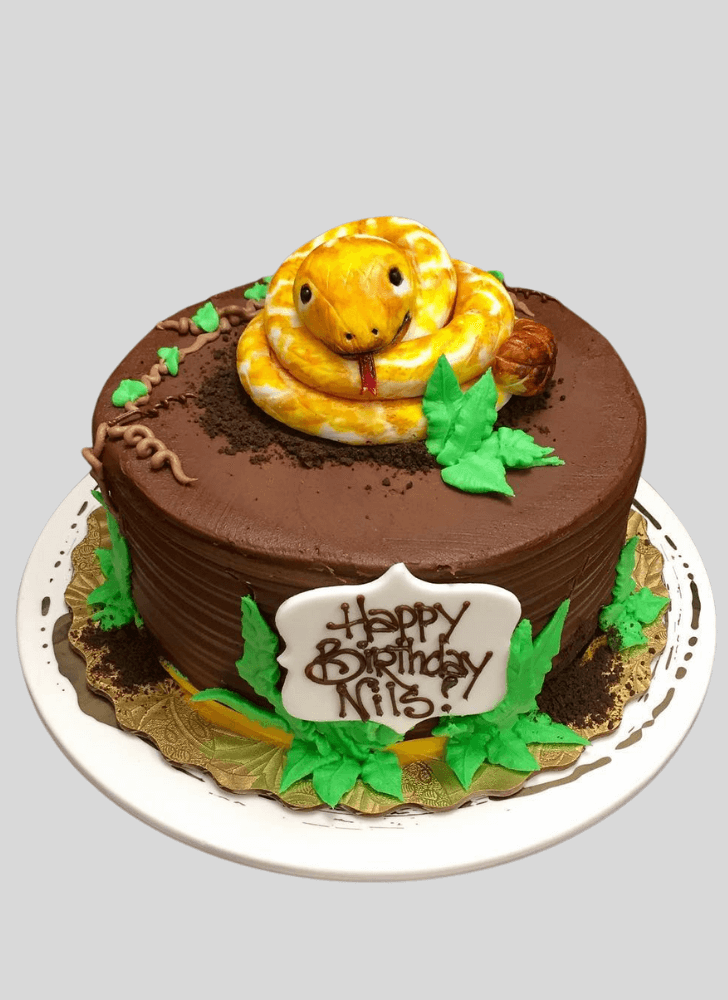 Classy Snake Cake