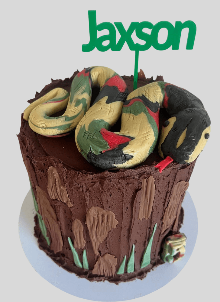 Exquisite Snake Cake