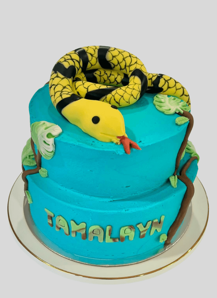 Fascinating Snake Cake