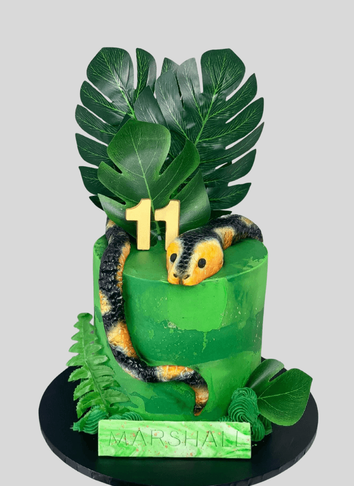Fetching Snake Cake