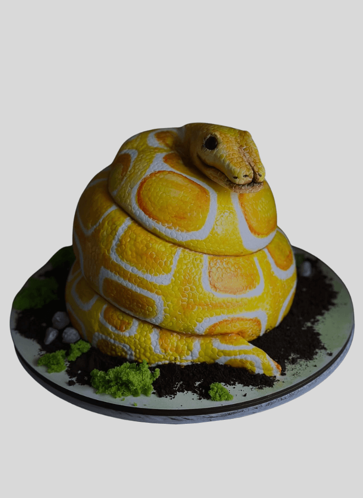 Fine Snake Cake