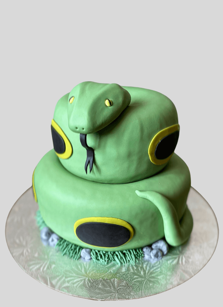 Good Looking Snake Cake