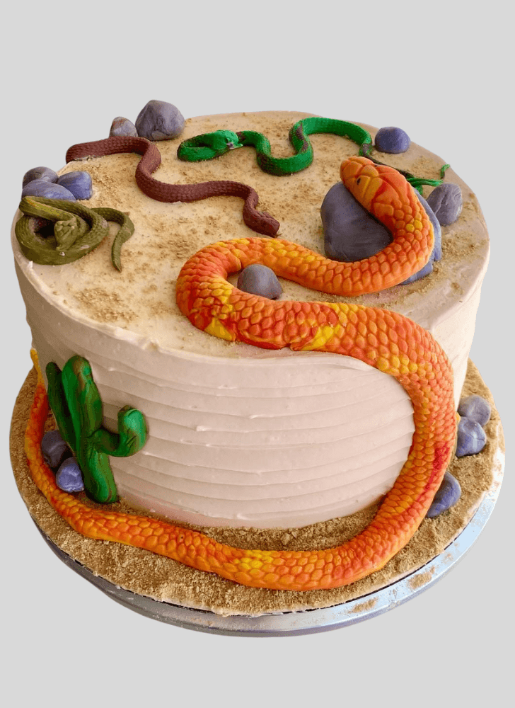 Gorgeous Snake Cake