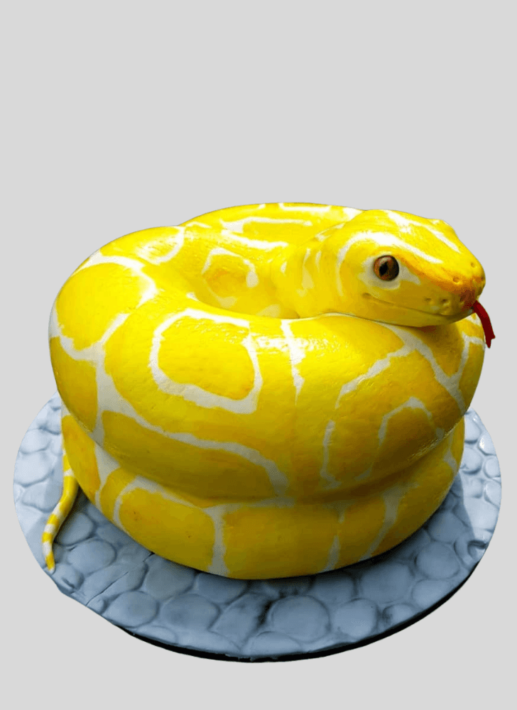 Graceful Snake Cake