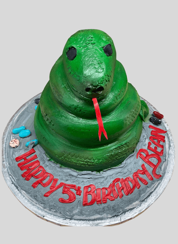 Handsome Snake Cake