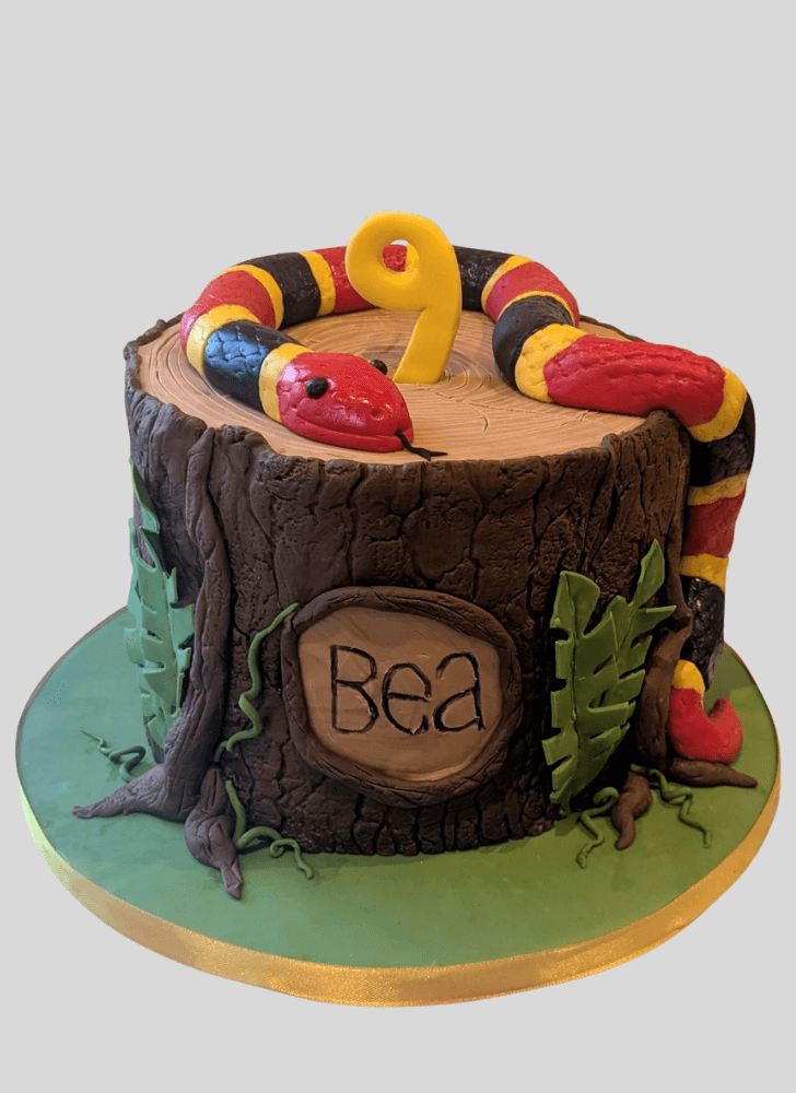 Ideal Snake Cake