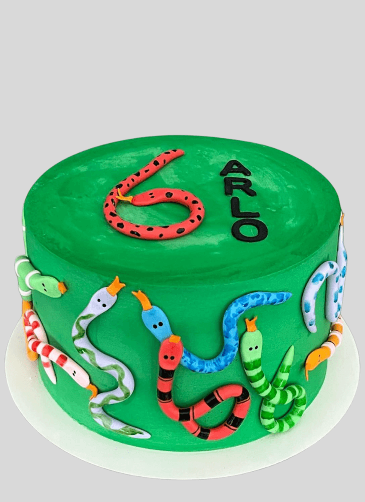 Lovely Snake Cake Design