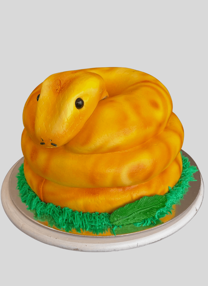 Mesmeric Snake Cake